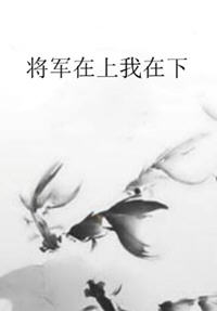 将军在上我在下