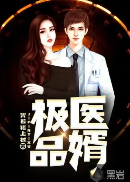 极品小医婿