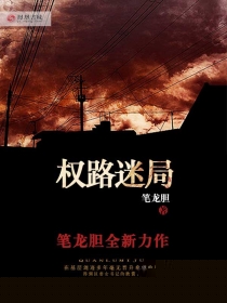 权路谋局