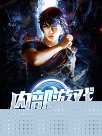 内部游戏