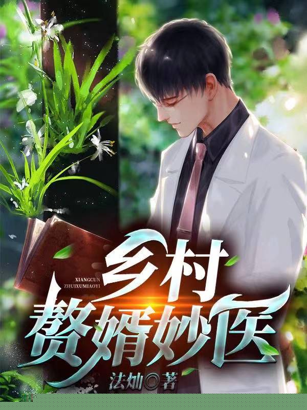 乡村赘婿妙医