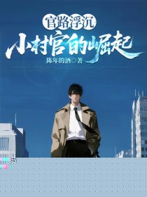 官路浮沉：小村官的崛起