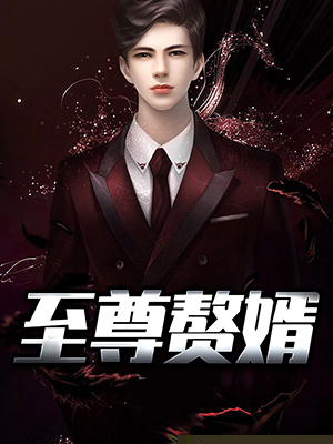 至尊赘婿