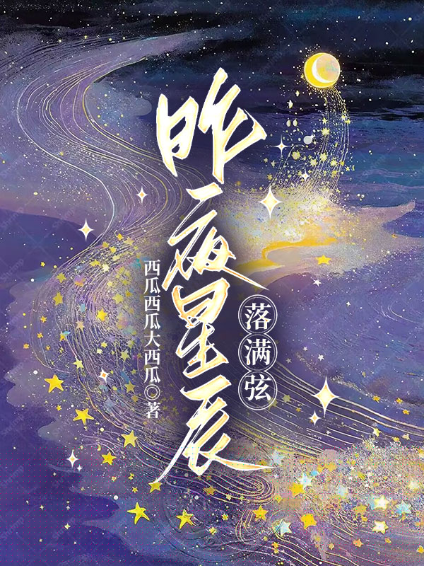 昨夜星辰落满弦