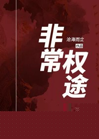 非常权途