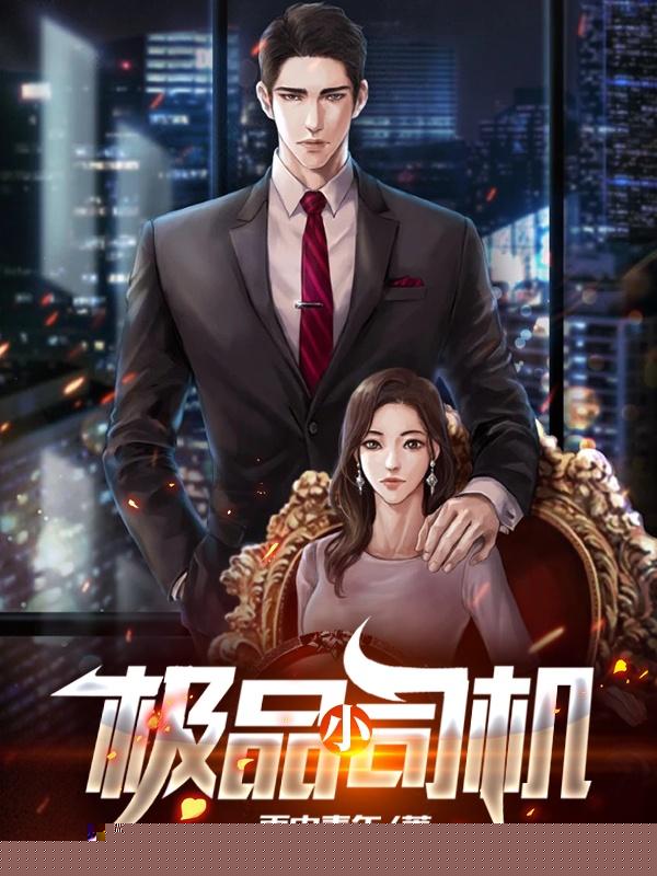 极品小司机