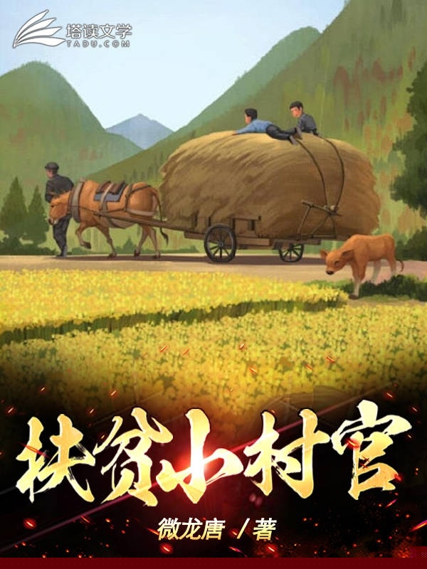 扶贫小村官