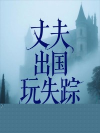 丈夫出国玩失踪