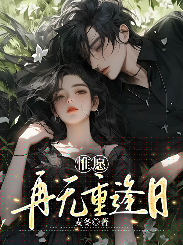 惟愿再无重逢日