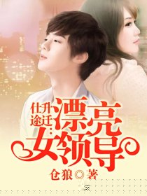 仕途升迁：漂亮女领导