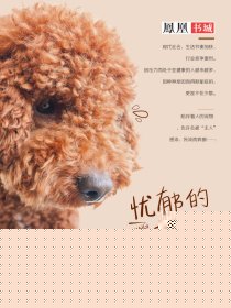 忧郁的兵兵