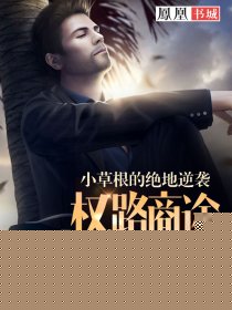 小草根的绝地逆袭：权路商途