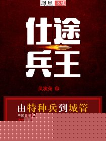 仕途兵王