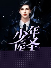 少年医圣