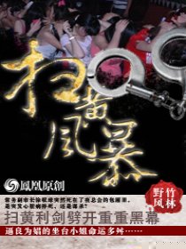 扫黄风暴
