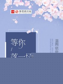 等你落一场繁花