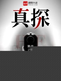 真探
