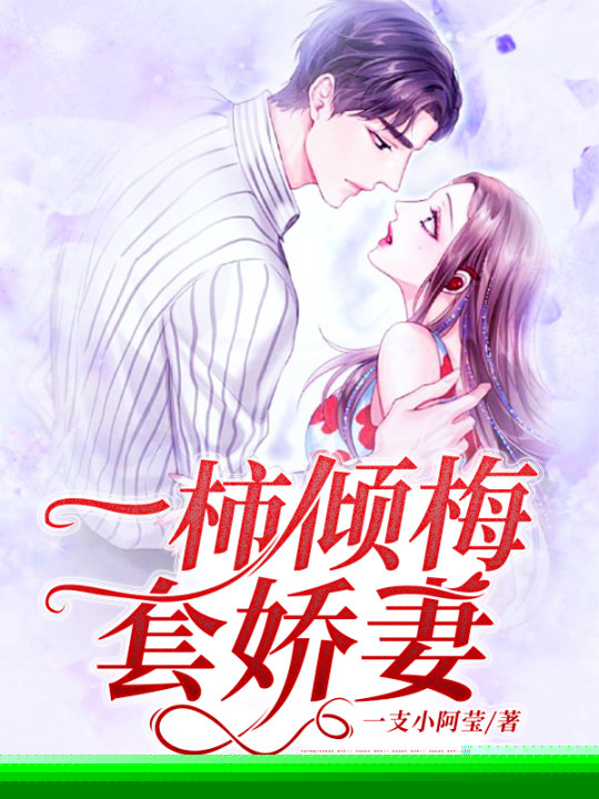 一柿倾梅套娇妻
