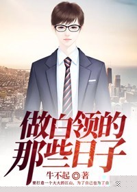 做白领的那些日子