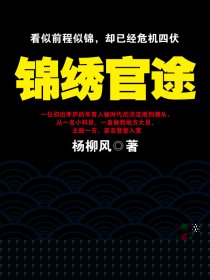 锦绣官途