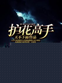 护花高手