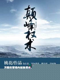 巅峰权术