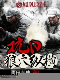 抗日狼穴纵横