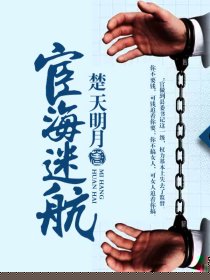 宦海迷航