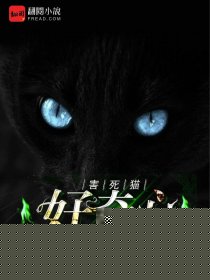 好奇害死猫