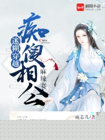 迷糊穿越:痴傻相公，麻辣妻