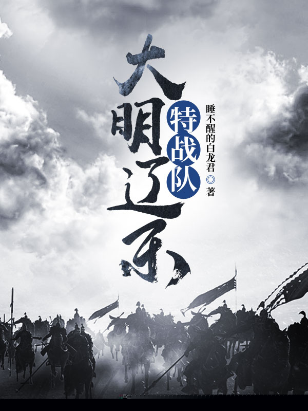 大明辽东特战队