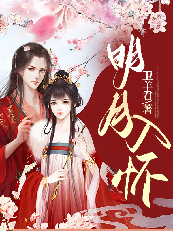 明月入怀