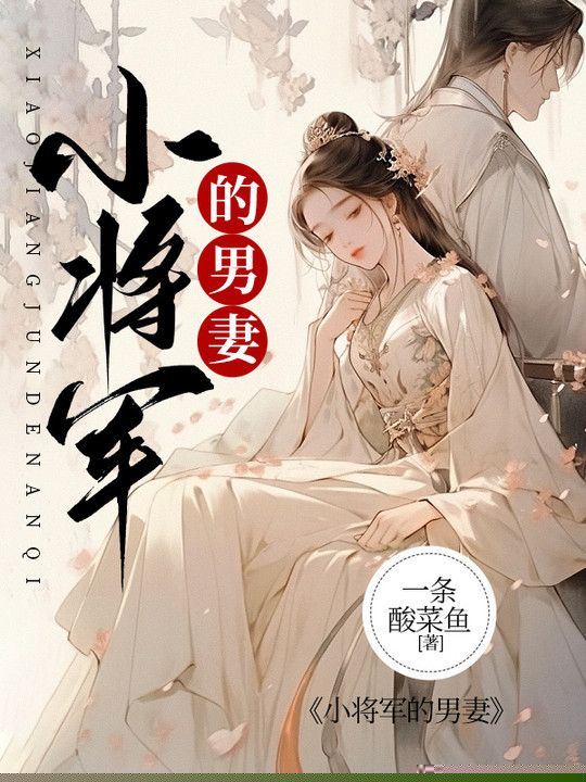 小将军的男妻
