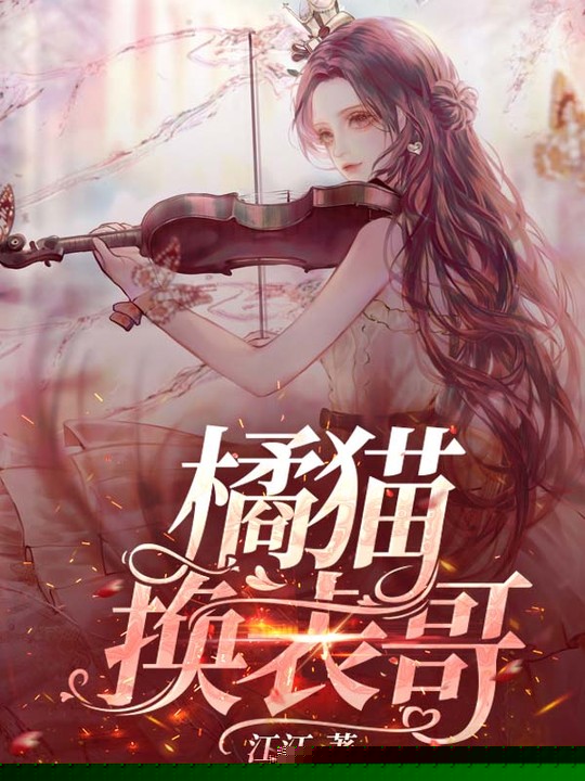 橘猫换表哥
