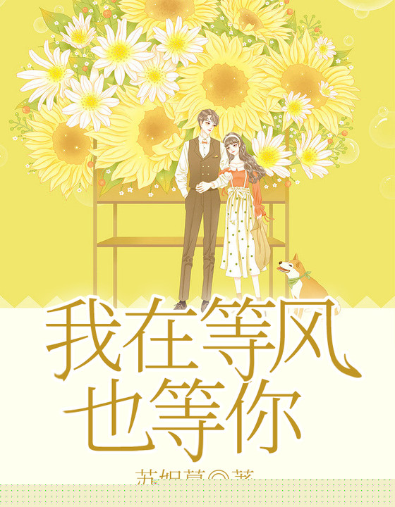 我在等风也等你