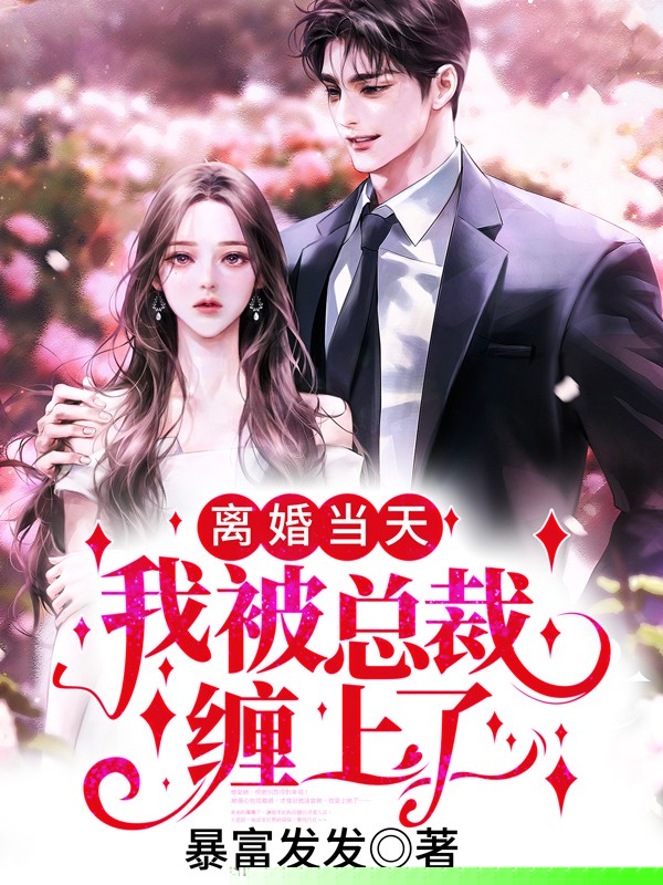 离婚当天，我被总裁缠上了