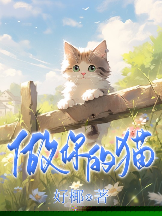 做你的猫