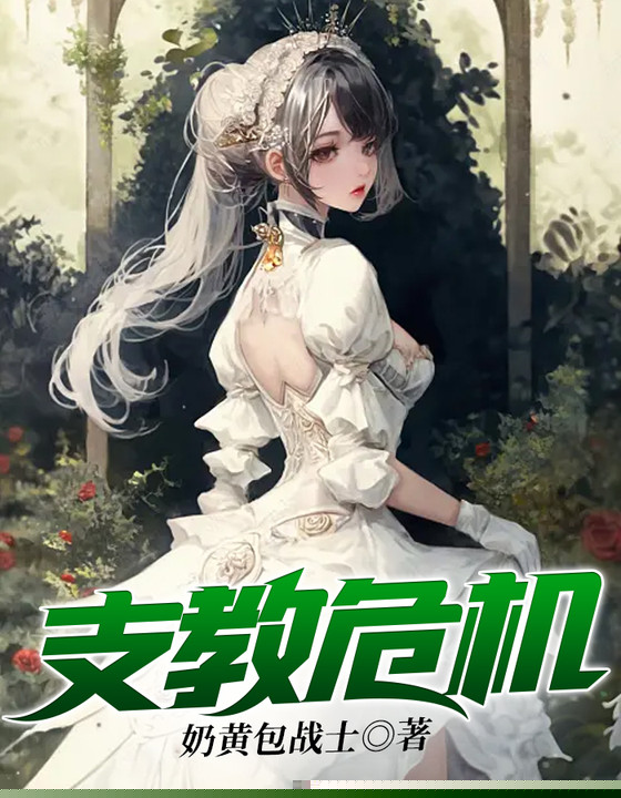 支教的危机
