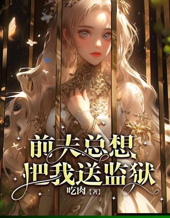前夫总想把我送监狱