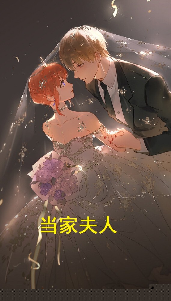 当家夫人