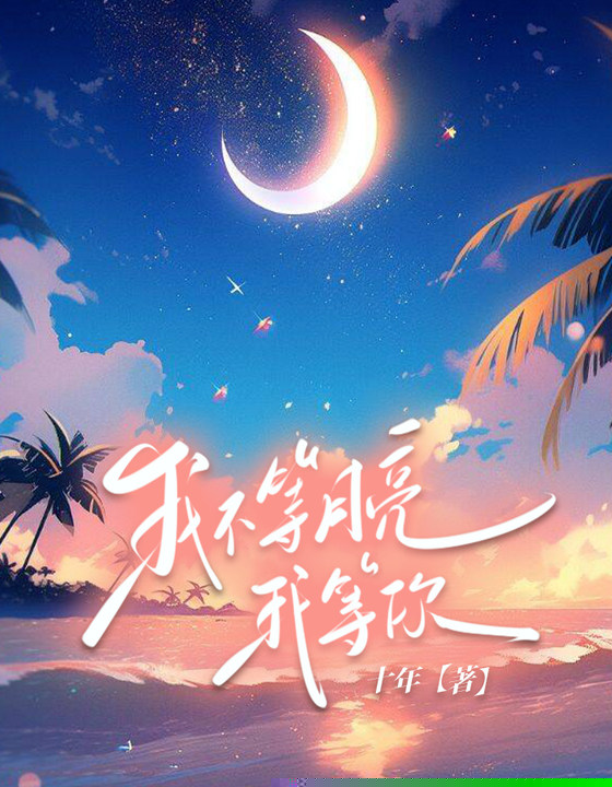 我等月亮，不等你