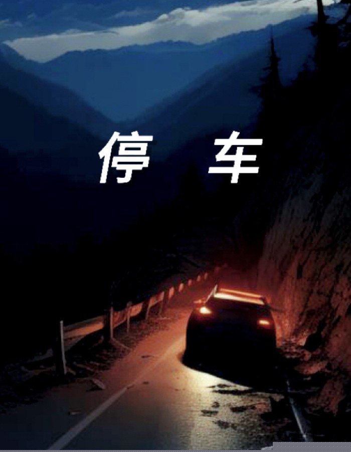 停车