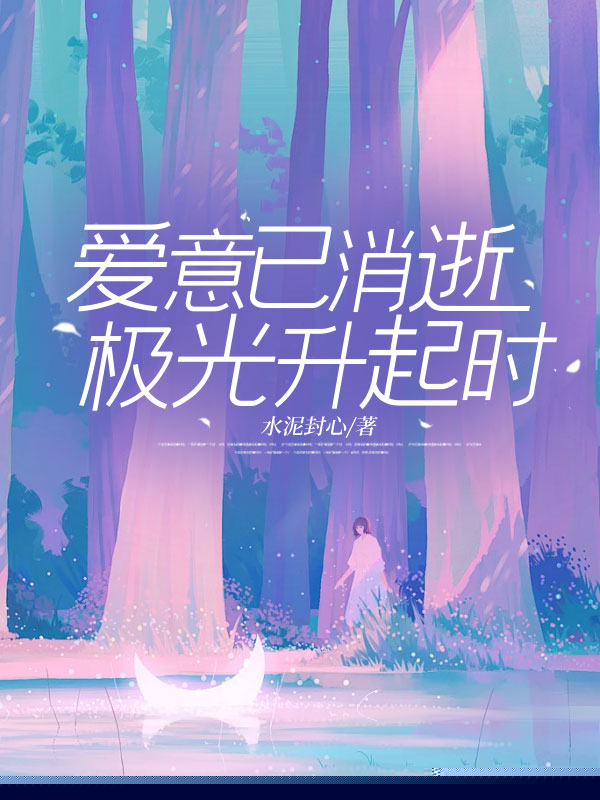 爱意已消逝，极光升起时