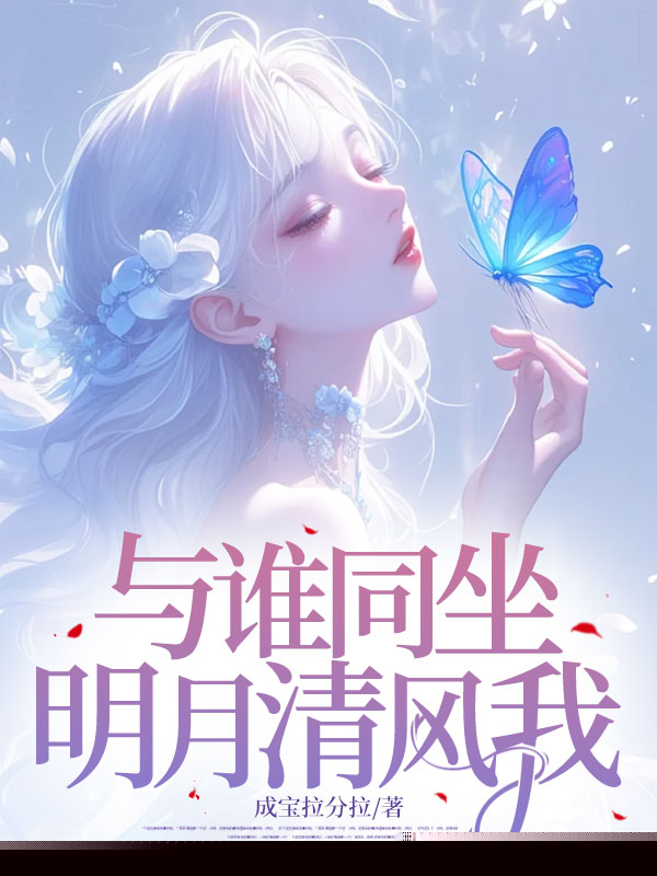 与谁同坐，明月清风我