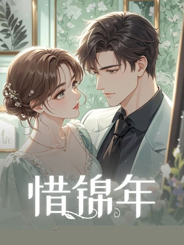 惜锦年