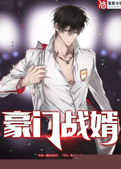 豪门战婿