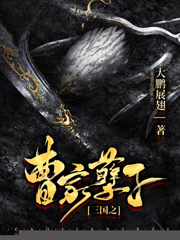 三国之曹家孽子