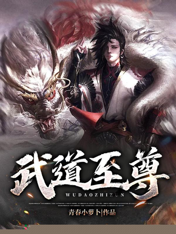 武道至尊