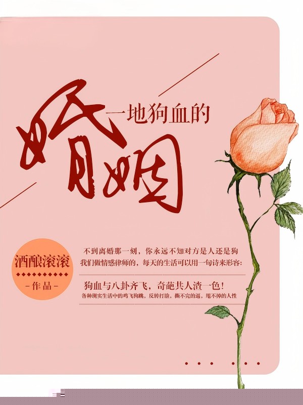 一地狗血的婚姻