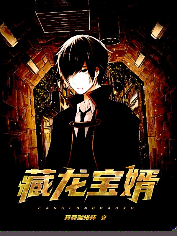 藏龙宝婿